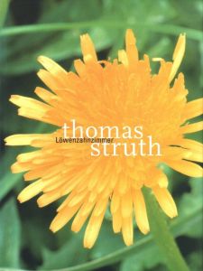 Dandelion Room／トーマス・シュトルート／(Dandelion Room / Thomas Struth)のサムネール
