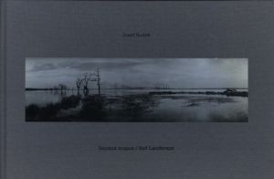 Smutna krajima / Sad Landscapeのサムネール