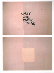 SORRY FOR DAMAGE DONE / Author: Vincent Wittenberg, Wladimir Manshanden