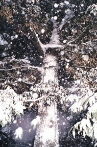 「Do You Know What I Mean / Juergen Teller」画像5