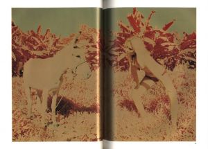 「照る日　曇る日 / 大竹省二」画像3