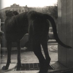 「BERLIN / 橋口譲二」画像5