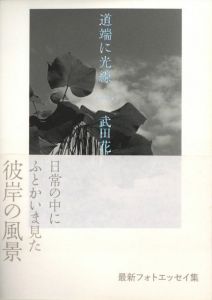道端に光線のサムネール