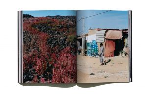 「Useless Fighters  issue2　COVER A (Blue Mountain Jamaica) / Creative Director, Editor-in-chief: Ramdane Touhami」画像9