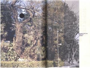 「Diaries 2010~2011 / ホンマタカシ」画像2