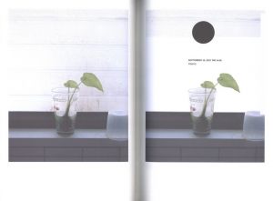 「Diaries 2010~2011 / ホンマタカシ」画像4