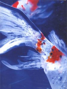 Eternity in a Moment vol.3／蜷川実花／(Eternity in a Moment vol.3 / Mika Ninagawa)のサムネール