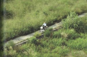 「NOZOMI / 増田貴大」画像2