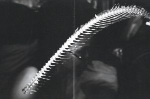 「我が家 / 山本雅紀」画像4