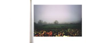 「此岸の日々 / 野村恵子」画像4