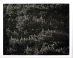 「Emperor of Japan / Eiji Ina」画像5