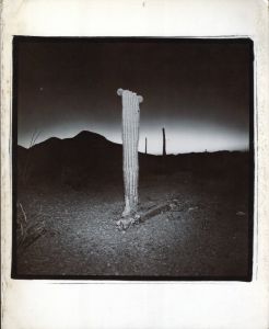 RICHARD MISRACH 1979のサムネール