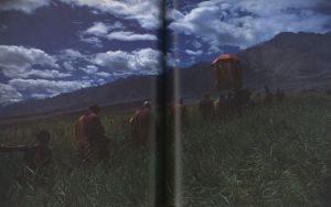 「藤原新也　印度拾年 / 著：藤原新也」画像3