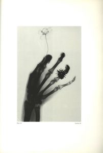 「Revelaciones The Art of Manuel Alvarez Bravo / Manuel Alvarez Bravo」画像1