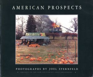 AMERICAN PROSPECTS／ジョエル・スタンフェルド／(AMERICAN PROSPECTS / Joel Sternfeld)のサムネール