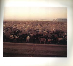 「AMERICAN PROSPECTS / Joel Sternfeld」画像2