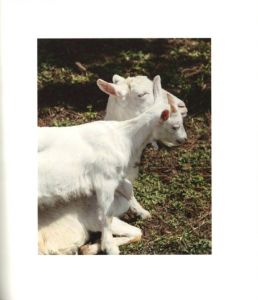 「Otari - Pristine Peaks / 野村恵子」画像5