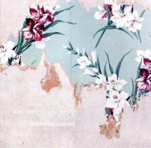 Alec Soth Gathered Leavesのサムネール