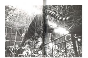「昭和曲馬団 / 丹野章」画像1