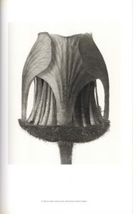 「Karl Blossfeldt: Masterworks / Karl Blossfeldt」画像1