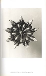 「Karl Blossfeldt: Masterworks / Karl Blossfeldt」画像2