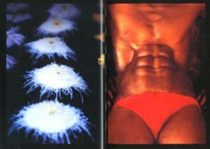 「幻花青年 / 稲嶺啓一（東風終）」画像4