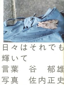 日々はそれでも輝いてのサムネール