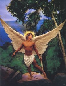 「LACHAPELLE LAND / Photo: David LaChapelle　Cover and Box Design: Tadanori Yokoo」画像3