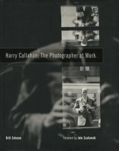 The Photographer at Workのサムネール