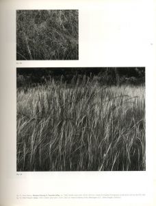 「The Photographer at Work / Harry Callahan　Edit: Britt Salvesen　Foreword: John Szarkowski」画像1