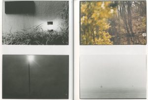 「NUDE / A ROOM / FLOWERS / 野村佐紀子」画像3